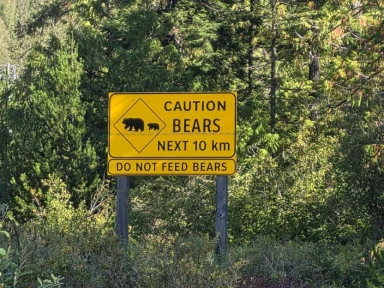 "Bear Attack on Hiker Triggers Lockdown at I'm A Celeb Wild Frontier Camp Just Hours Before Ant and Dec's Arrival"