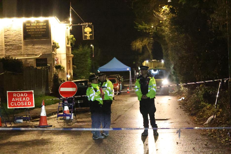 Murder probe launched after fatal stabbing outside Wheatsheaf pub in Ewell