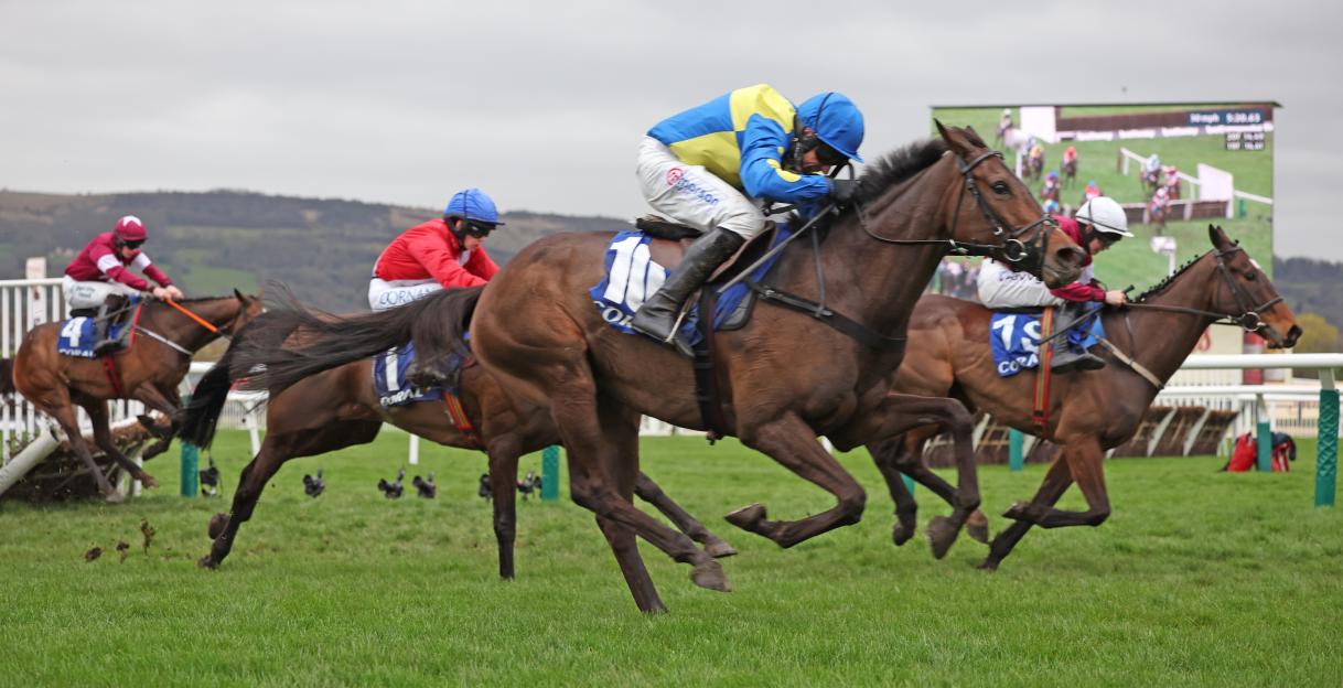 Heartbreaking Loss: Cheltenham Champion Langer Dan Passes Away at Nine, Tributes Flood In
