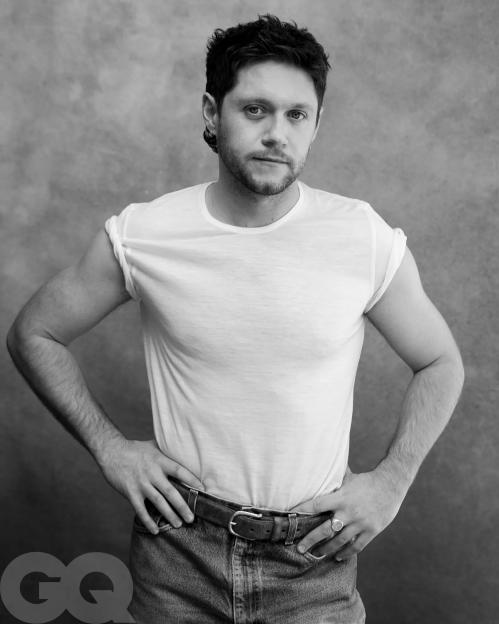 Niall Horan Opens Up About Liam Payne's Death and Their Last Meeting Days Before Tragedy Struck