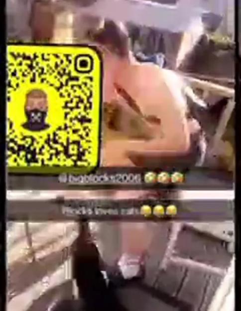 NINTCHDBPICT001077028292