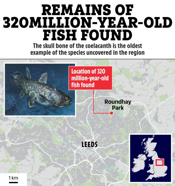 Collage of a map of Leeds showing Roundhay Park, a map of the UK highlighting the location of Leeds, and an image of a Coelacanth fish.