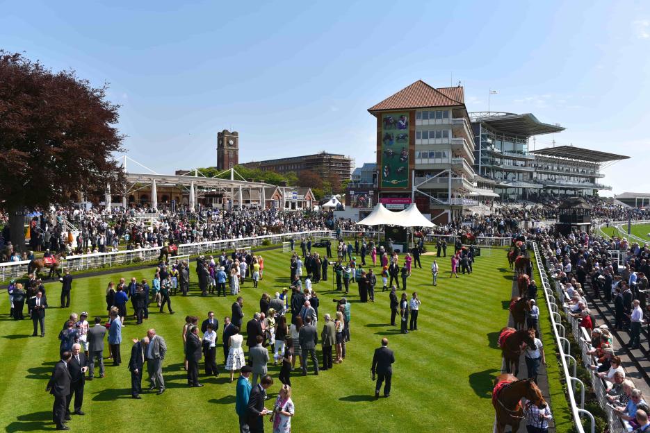 Grab Your York Ebor Festival Legends Lounge Tickets at 30% Off—Enjoy a Free Bar and Expert Tips from Ruby Walsh Starting at Just £146pp!