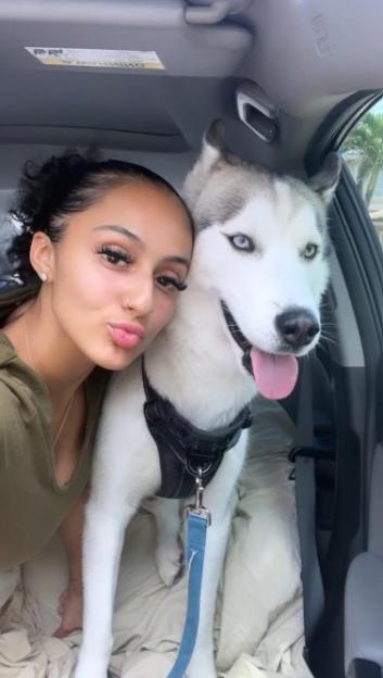 NINTCHDBPICT001039308281