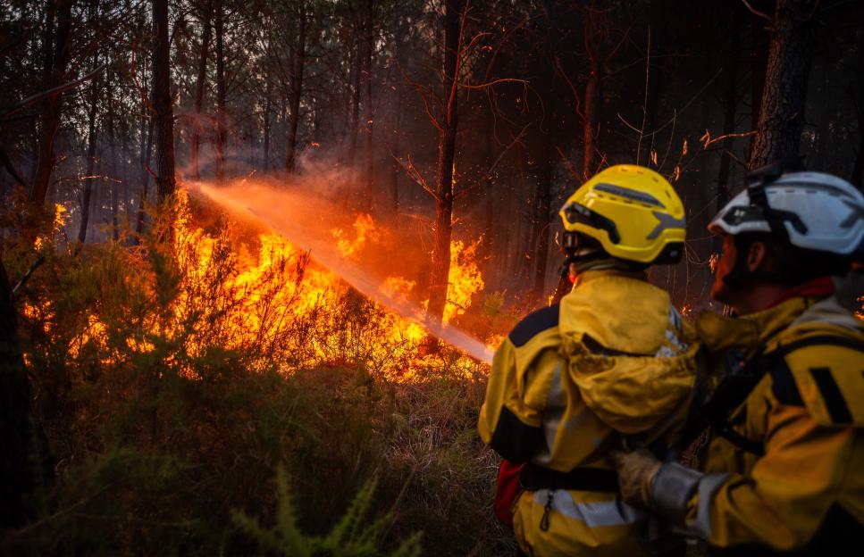 Wildfires scorch 42,000 Hectares in France's Gironde Region