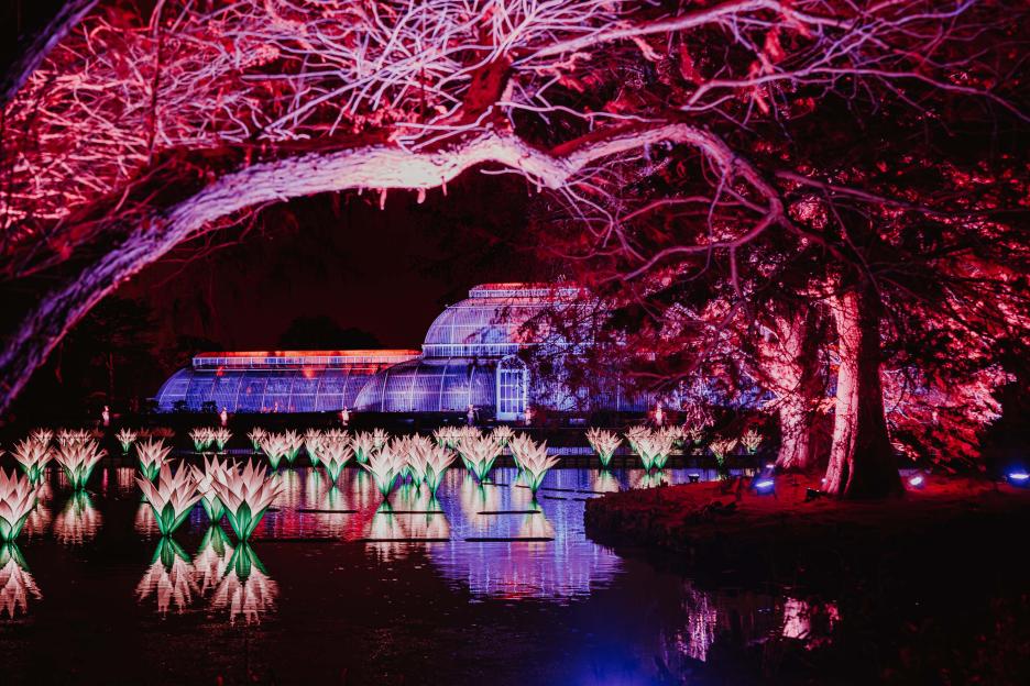 Nighttime image of a botanical garden with a greenhouse lit in blue and red, a pond with floating lotus lights, and trees with red lights.