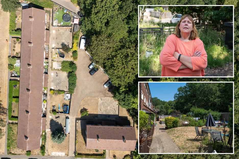 'Fighting to Save Our Gardens: A Devastating Battle for Our Children's Play Spaces'