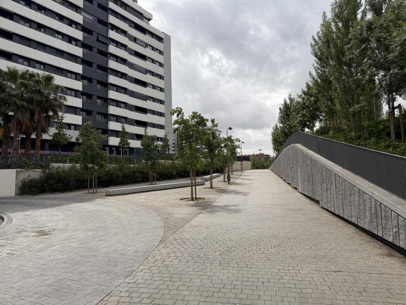 NINTCHDBPICT001077034949