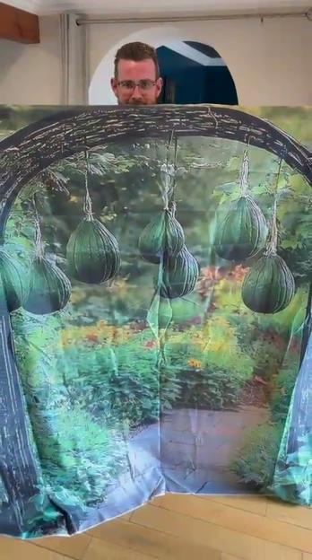 NINTCHDBPICT001074887977