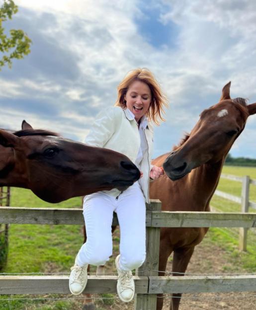 Woman feeding carrots to two horses while sitting on a fence.