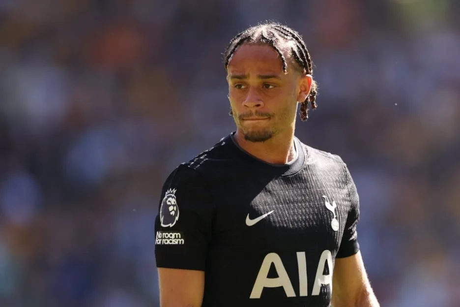 Tottenham Hotspur player on the pitch during the Premier League match against Wolverhampton Wanderers.