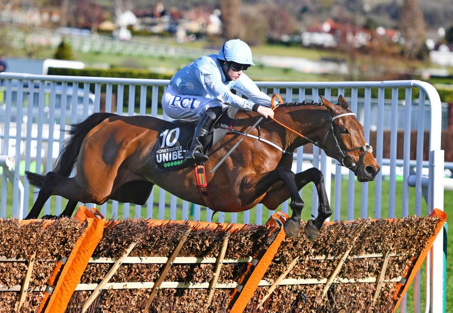 Cheltenham Festival Day 1