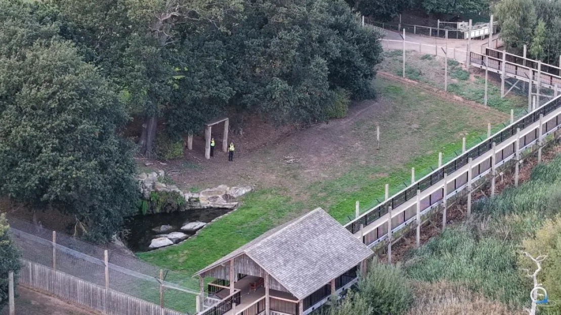 Aerial view of police officers investigating the tiger enclosure at Yorkshire Wildlife Park following a fatal attack.