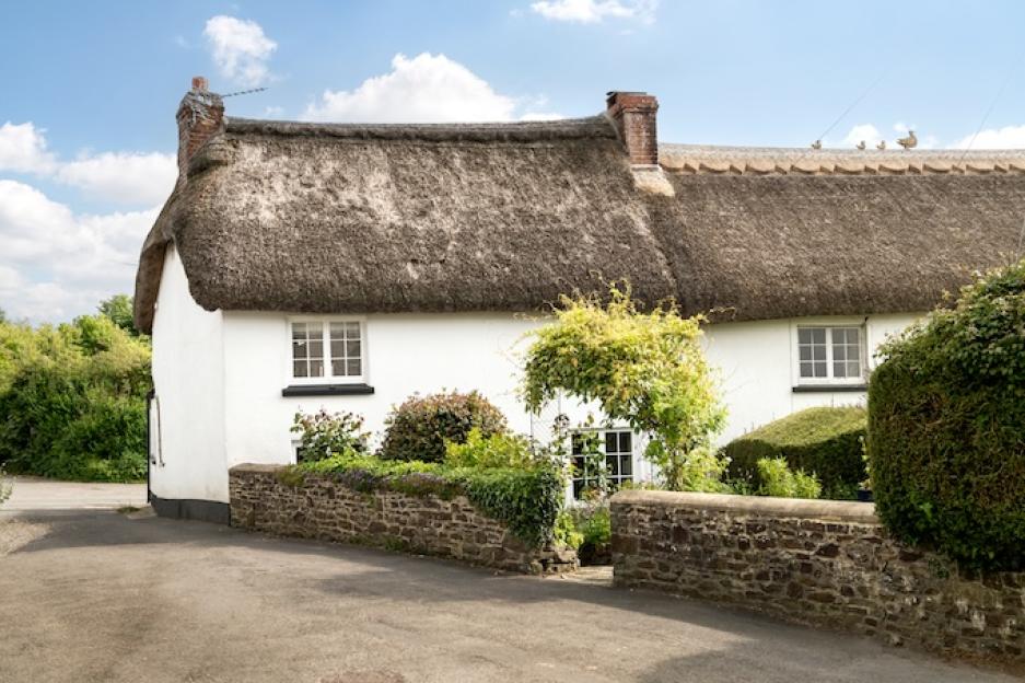 Rose Cottage in Devon, a white thatched-roof house with stone walls and green bushes.