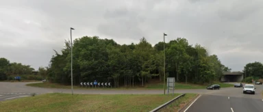 Driver Dies and Multiple Injured After BMW Veers Off Road in Shocking Crash; Young Woman Arrested