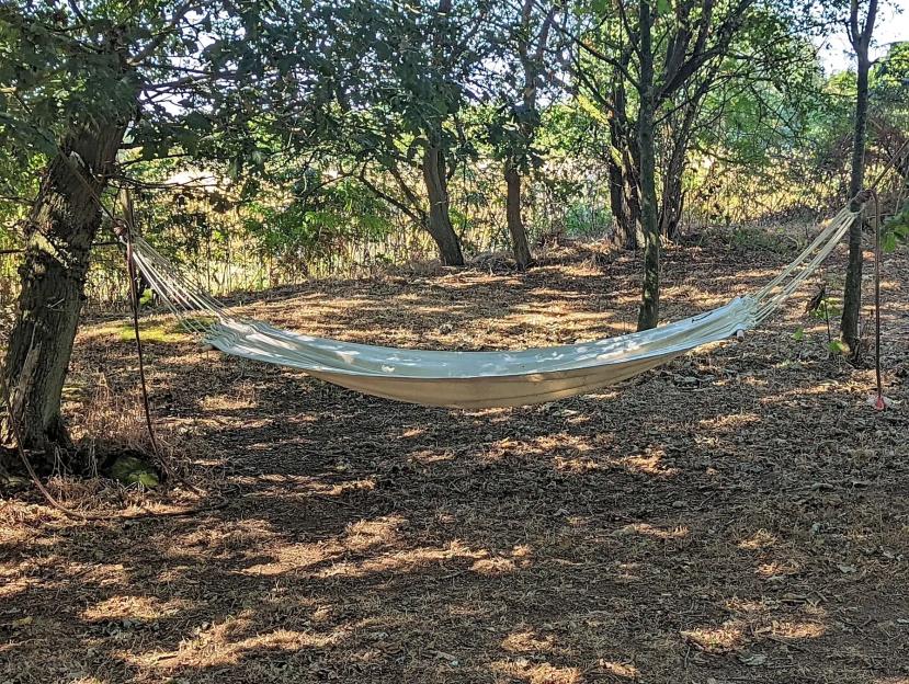 Discover the Top-Rated English Campsite Families Can't Stop Talking About—Only £12.50 Per Night!