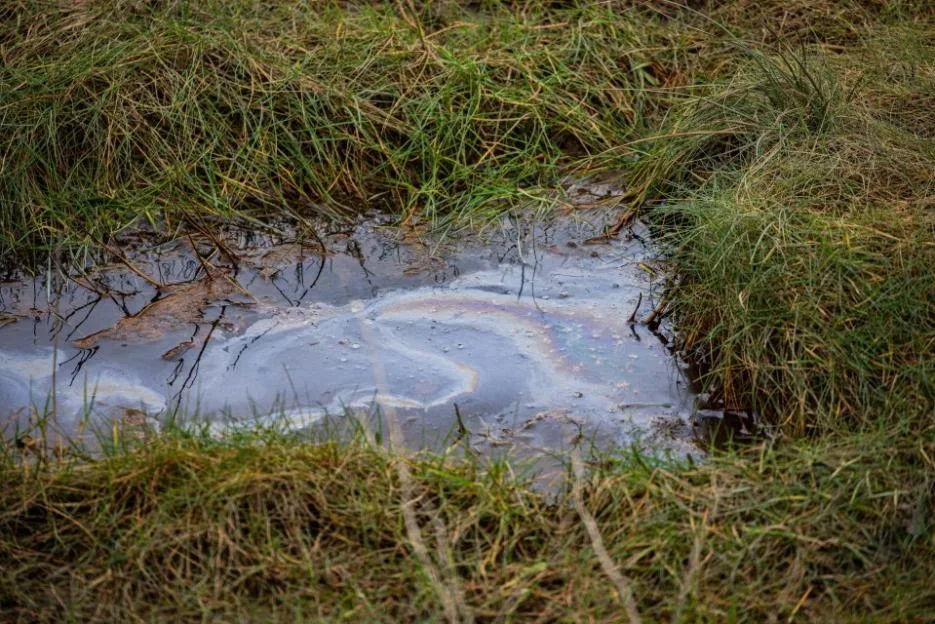 Locals near chemical plant have blood tests amid fears it contains 'cancer' toxins