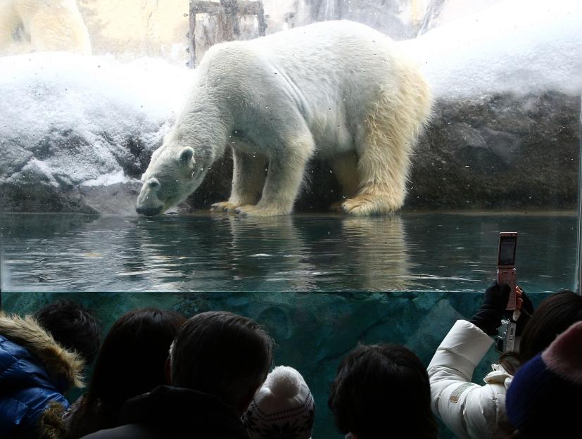 NINTCHDBPICT000004050777