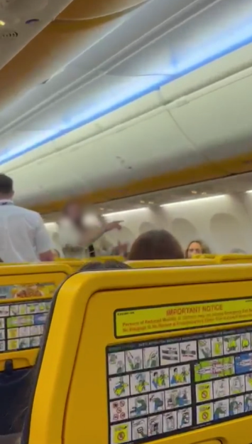 Ryanair Flight to Ibiza Makes Emergency U-Turn After Drunk Passenger's Phone Meltdown