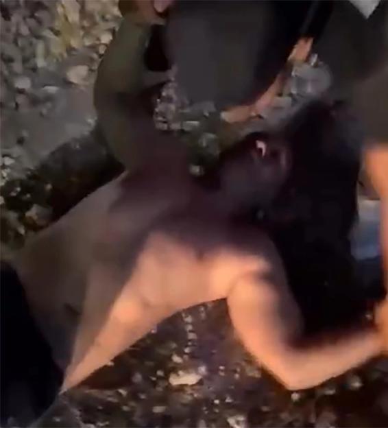 NINTCHDBPICT001070683227