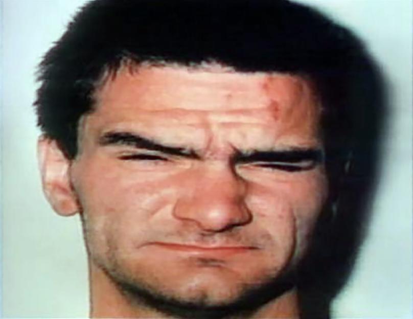 NINTCHDBPICT001040989374