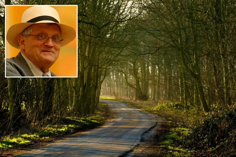 Villagers Rage as Massive Wind Turbines Loom Over Yorkshire's Picturesque Countryside, Once Celebrated by David Hockney