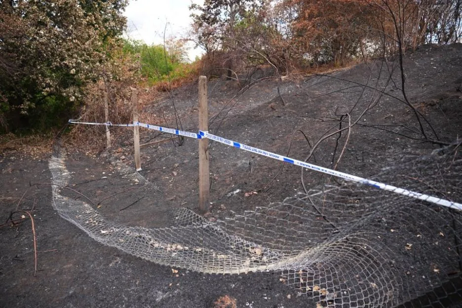 Human remains found in Feltham