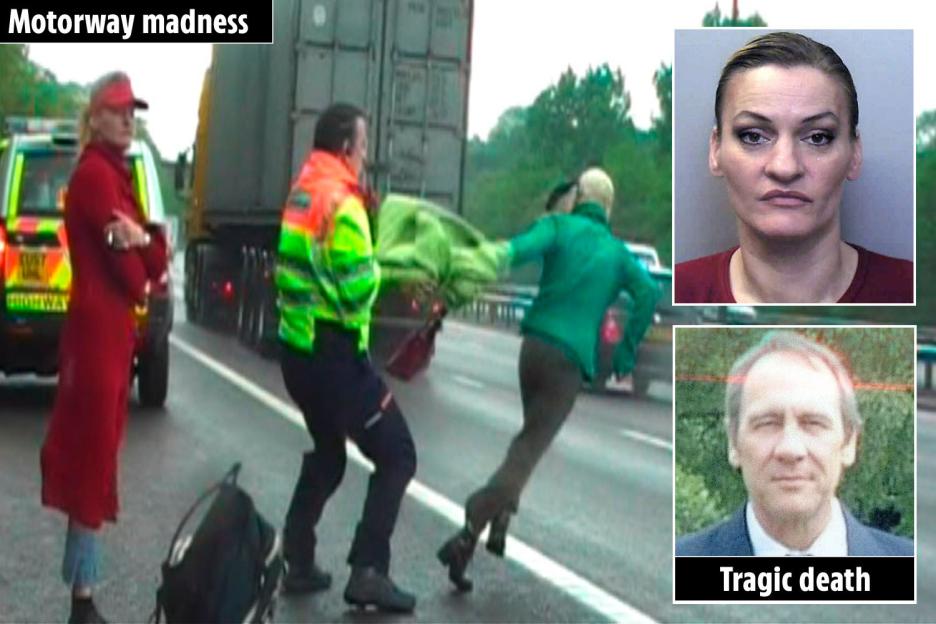 'Did a Twin Telepathic Bond Lead to a Stabbing? A Sister's Shocking Encounter on the M6'