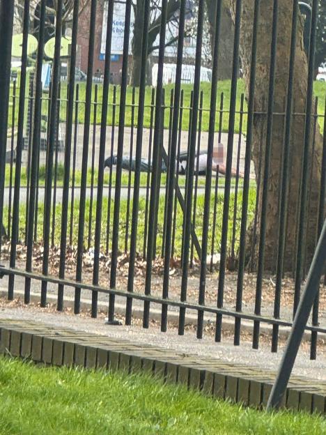 NINTCHDBPICT001068423139