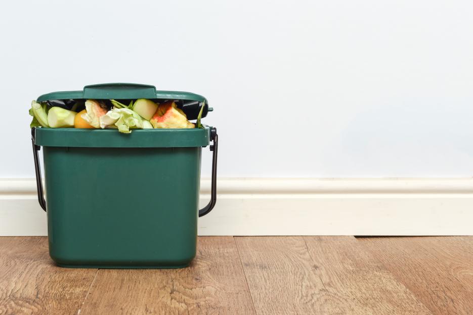 'Seven Items You Can't Put in Caddy Bins: New Rules in Effect—Disregarding Them Could Mean Your Bin Won't Be Emptied!'