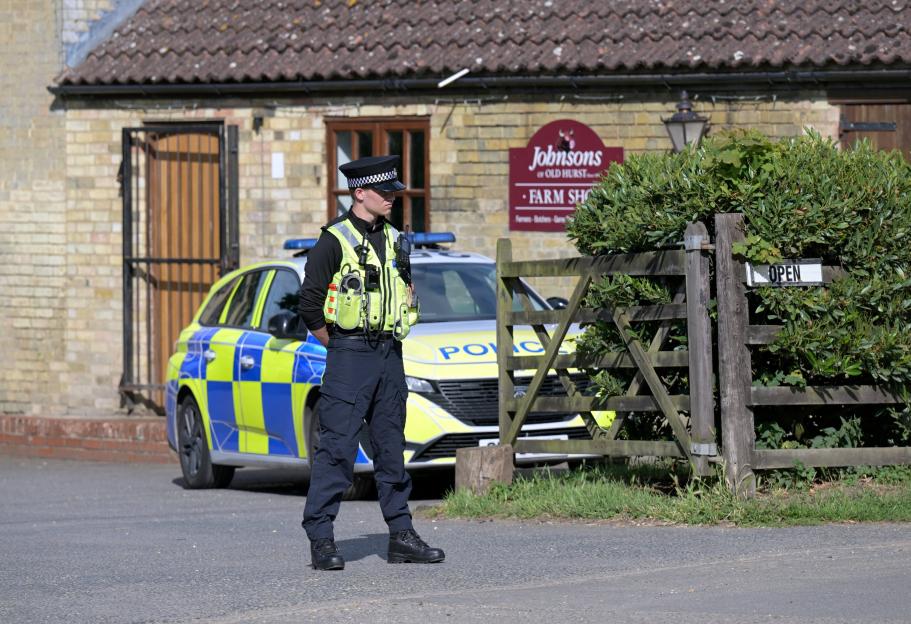 Boy, three, 'critical' after crocodile mauling at zoo as man arrested