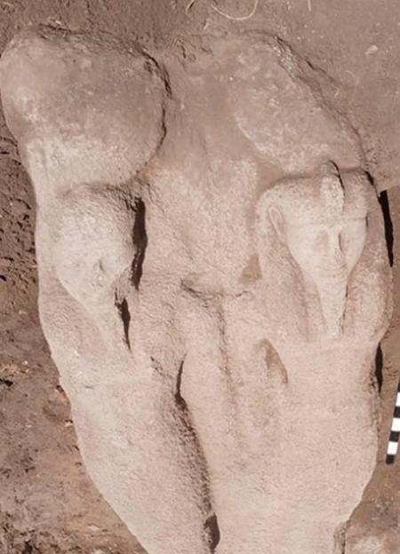 NINTCHDBPICT001075843794