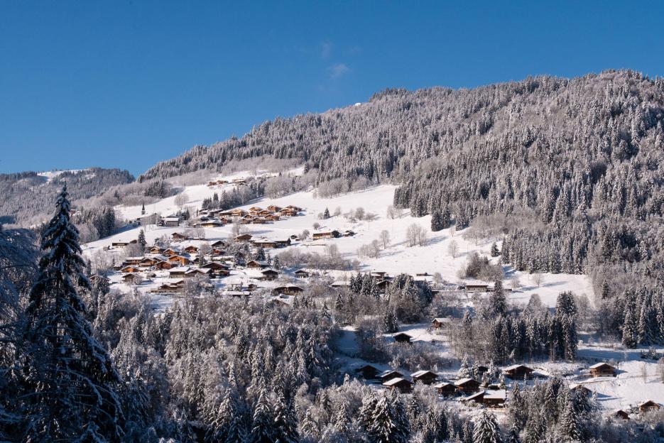 Snow-covered chalets nestled among pine trees on a mountain slope in Morzine, France.