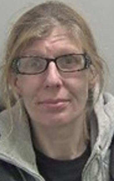 Headshot of a blonde woman wearing glasses and a gray hoodie.