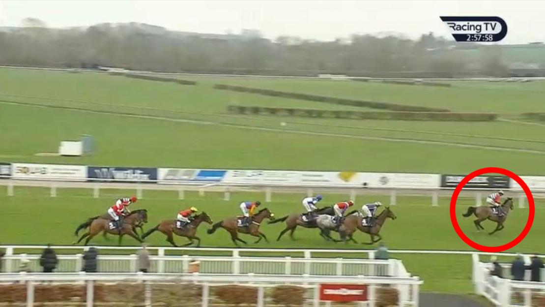 NINTCHDBPICT001065357032