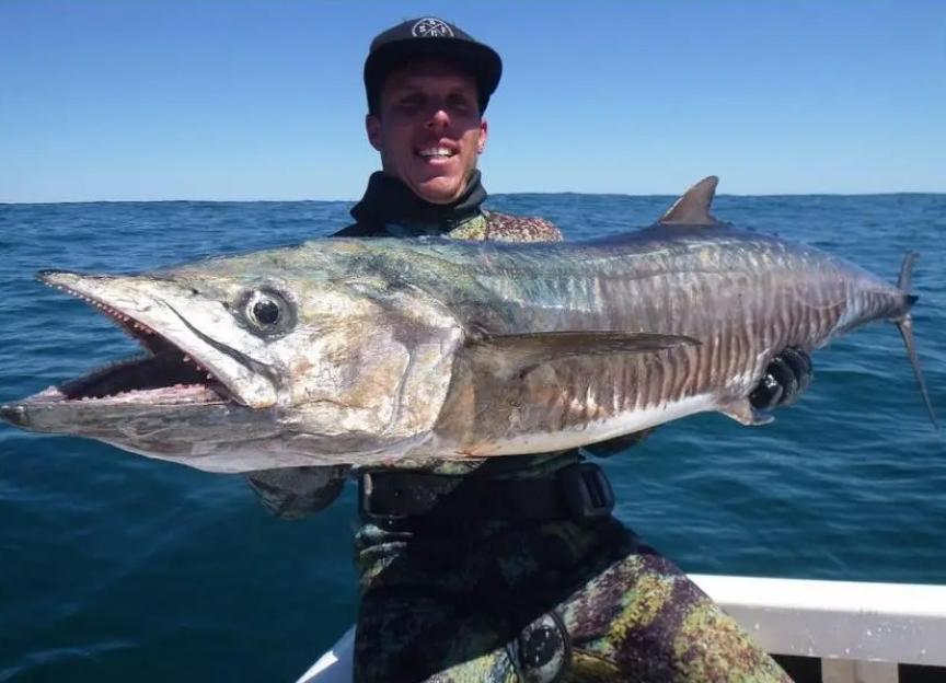 Tragic Shark Attack: 38-Year-Old Father Killed by 16ft Great White in Front of Friends, While Wife Remembers Him as a 'One-of-a-Kind Gentleman'