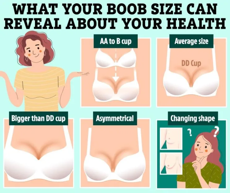 Illustration showing different bra sizes and shapes, with text explaining what each can reveal about health.