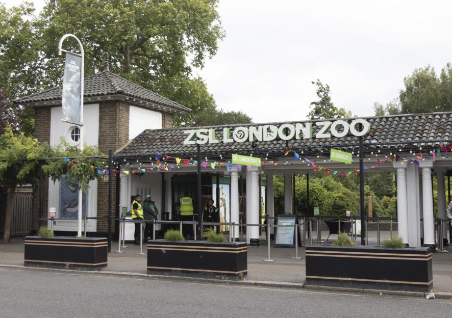 The entrance to ZSL London Zoo, featuring its sign, a banner, and staff in security vests.