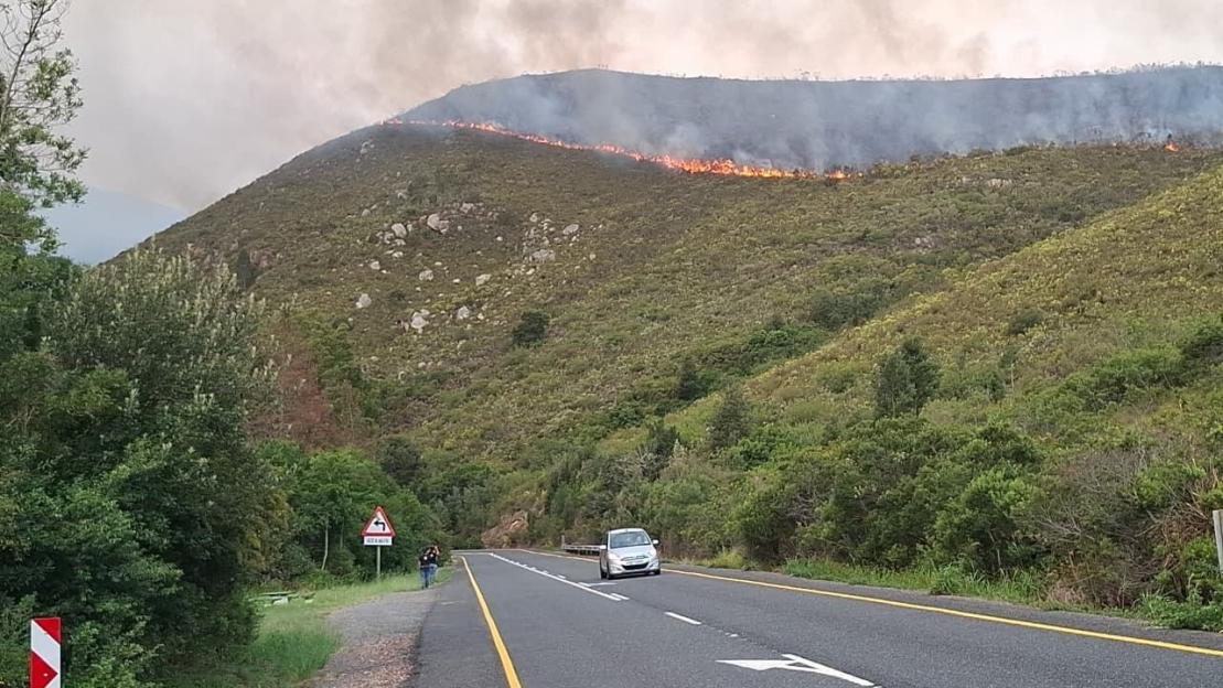 A wildfire on a green mountain with smoke rising into the sky.