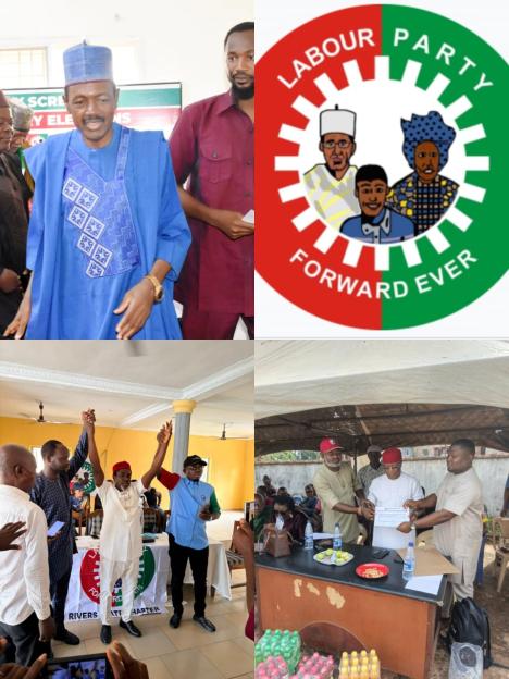 Labour Party Concludes Primaries for June 20 By-Election: Maku, Eze, and More Step Forward as Candidates!