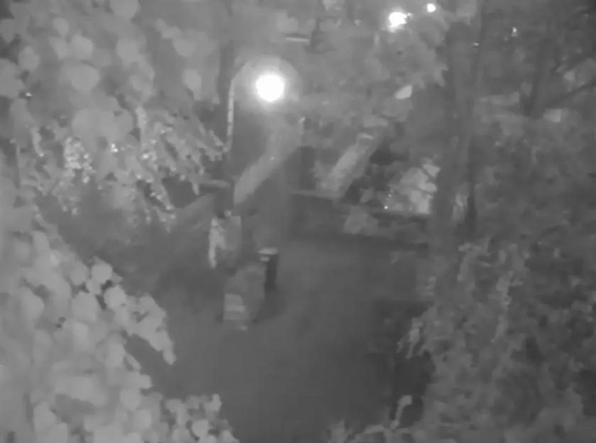 NINTCHDBPICT001044337460