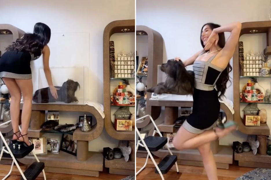 Glam Influencer Faces Backlash for Freeze-Drying Her Deceased Dog and Displaying It for Likes