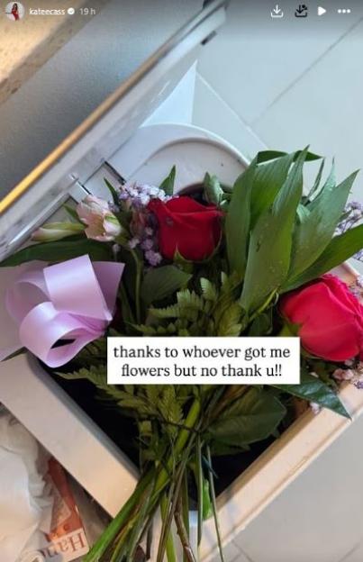 NINTCHDBPICT001066786299