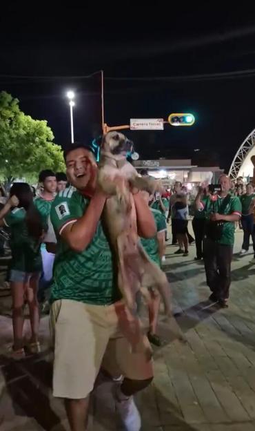 VIDEO: Missing dog spotted during World Cup celebrations and reunited with owners