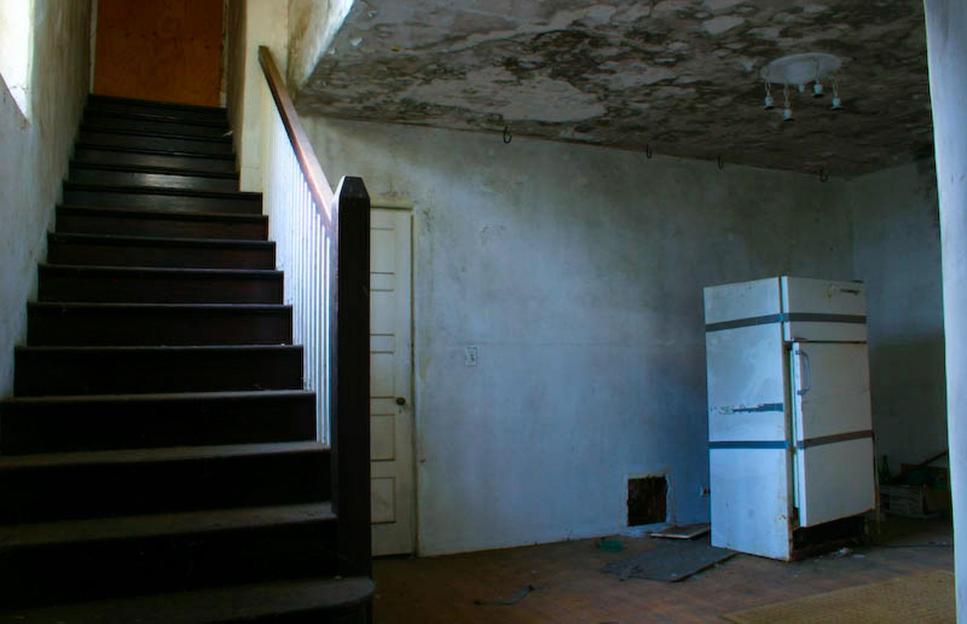 NINTCHDBPICT000579599368