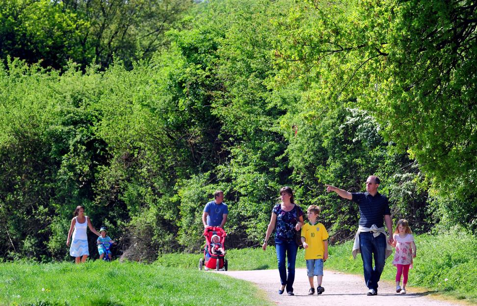 Families enjoy summer weather while walking in a park.