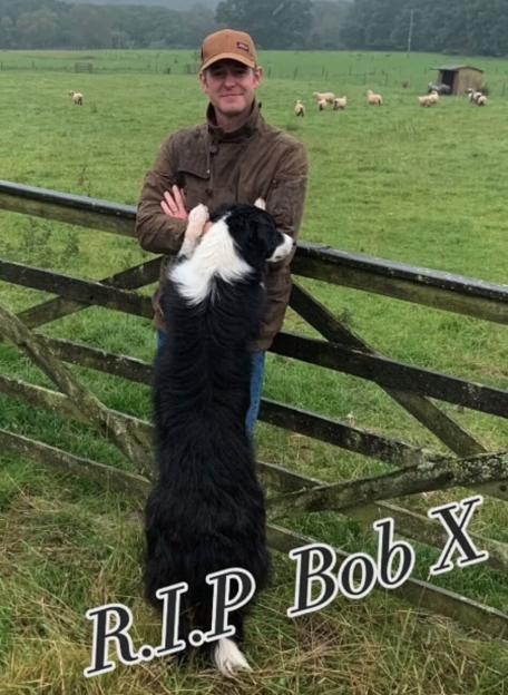Matt Baker stands in a field with his dog, Bob, in a tribute post.
