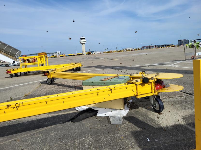 NINTCHDBPICT001076650439