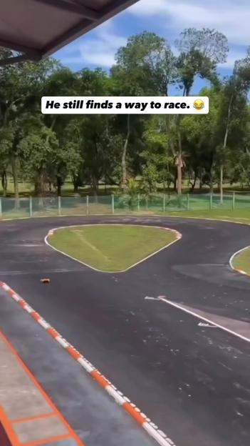 Remote control car on a race track.