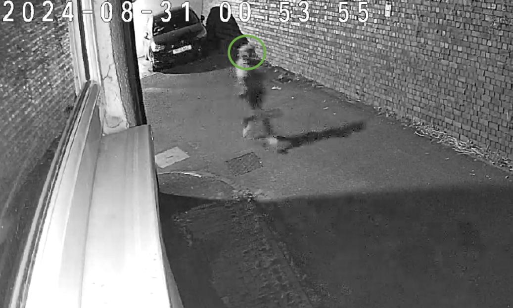 Teen 'traumatised for life' after being sexually assaulted by small boat migrant